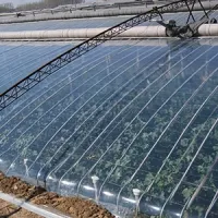 بلاستيك صوب زراعية PO عالي الشفافية ومقاوم للتكثف